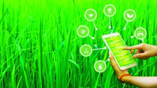 Artificial Intelligence In Agribusiness