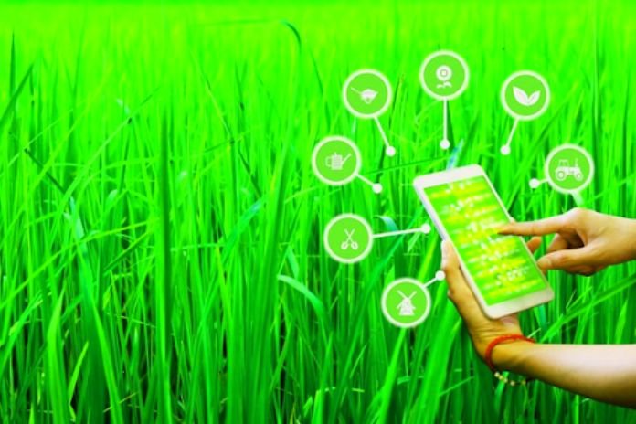 Artificial Intelligence In Agribusiness